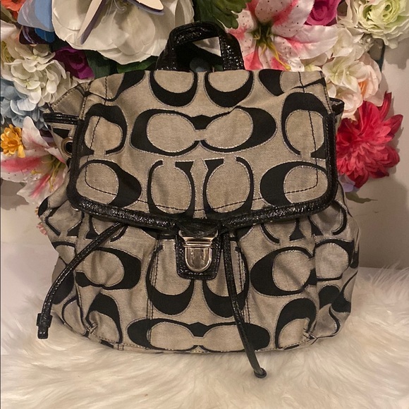Stylish Black and Gray Backpack - Picture 1 of 2